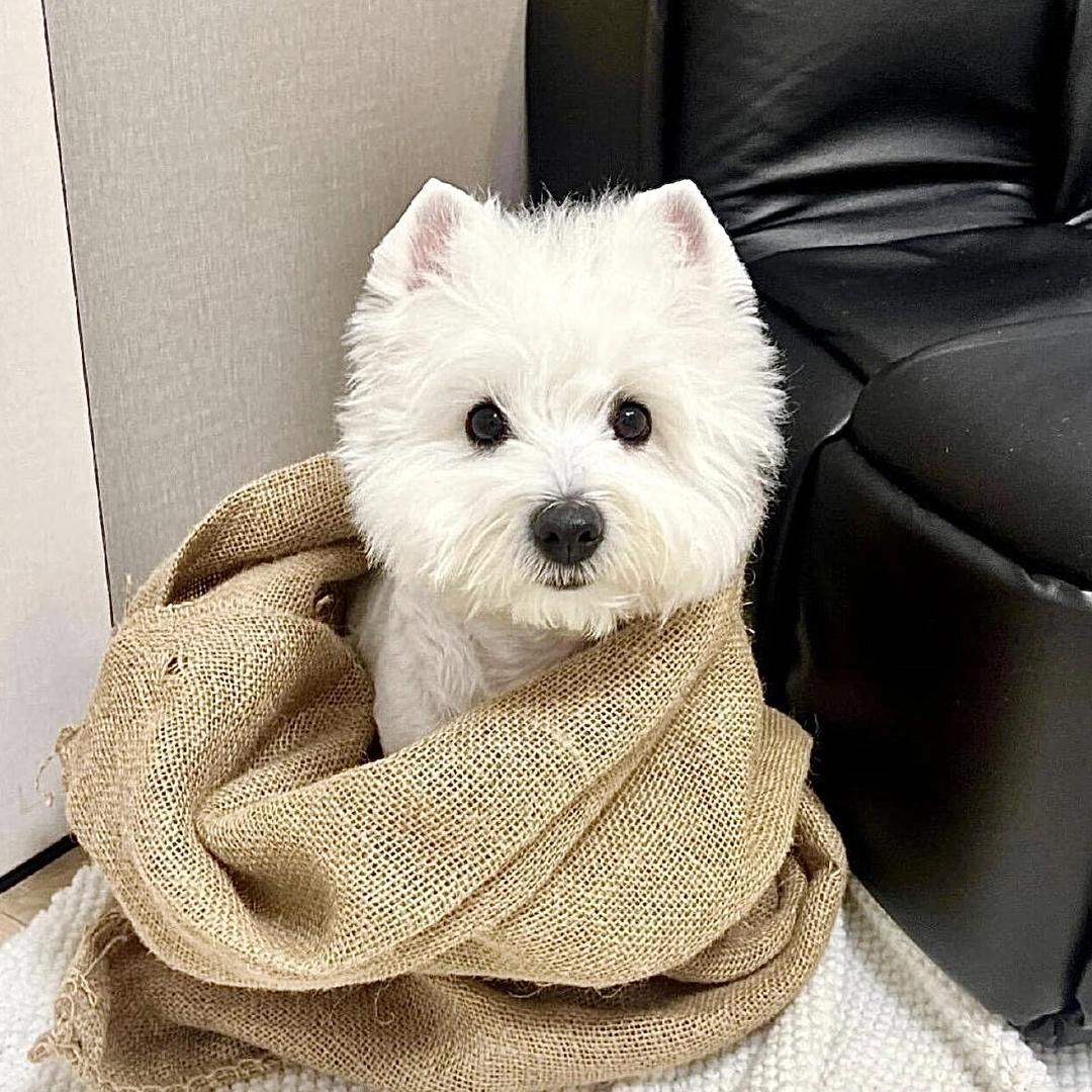 Lㅤㅤ︋︋ykke