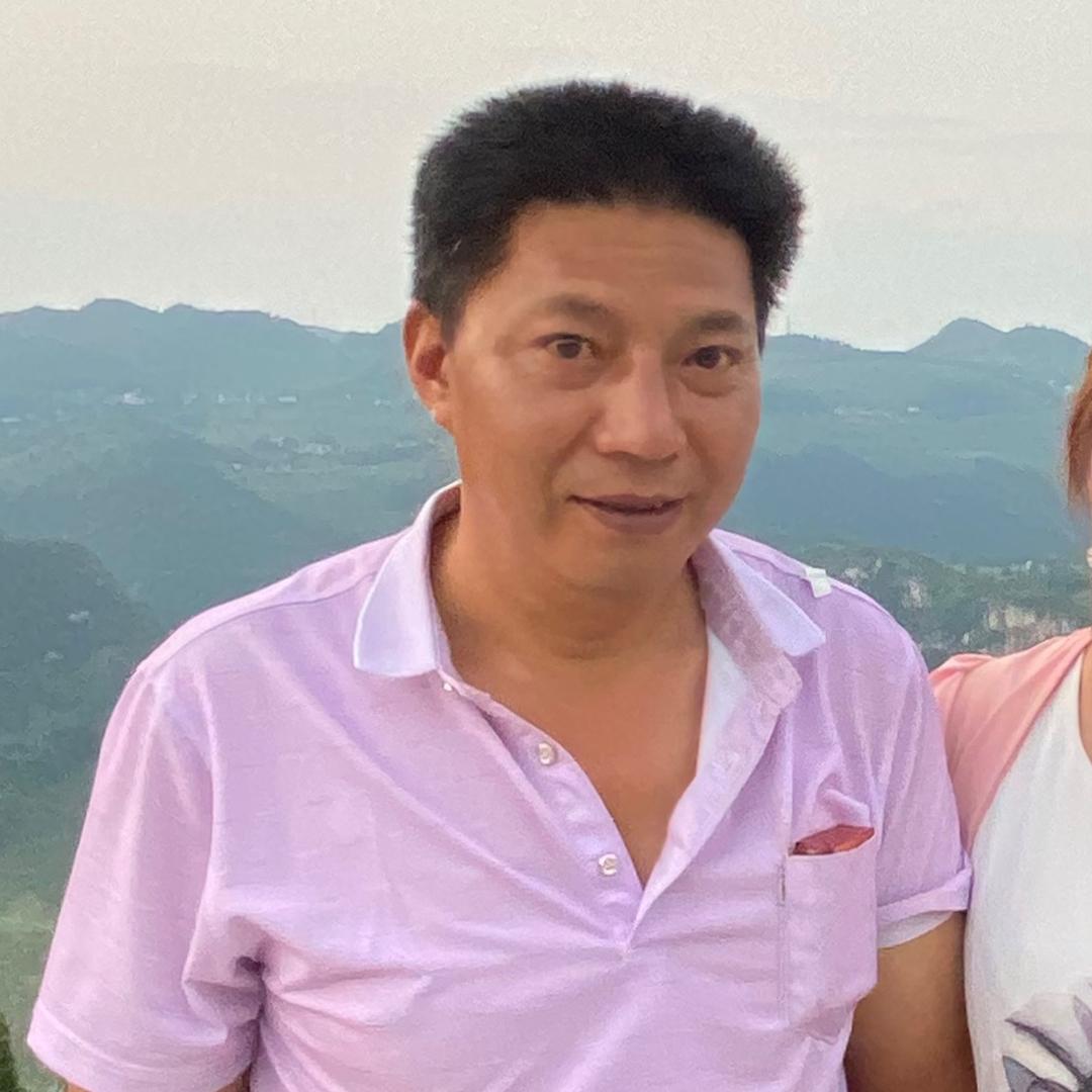 金龙雷家大木🌲