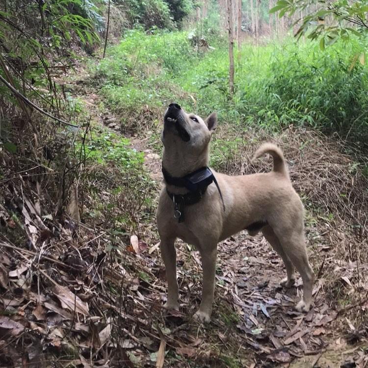 户外鱼乐南宁潘志龙