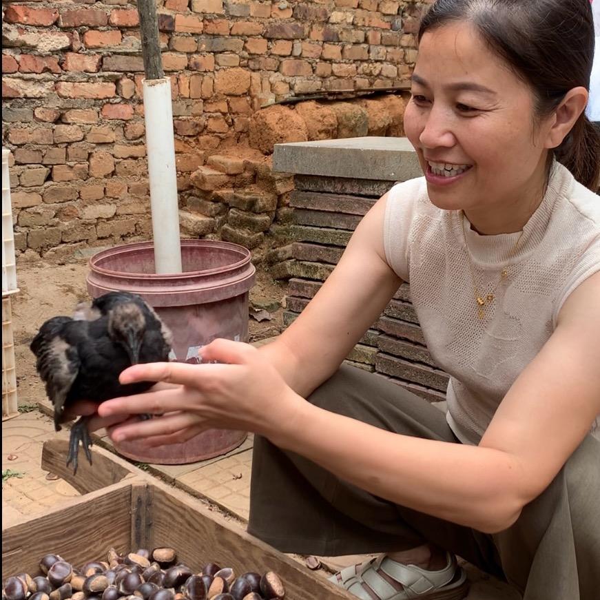 归农-回村买菜英