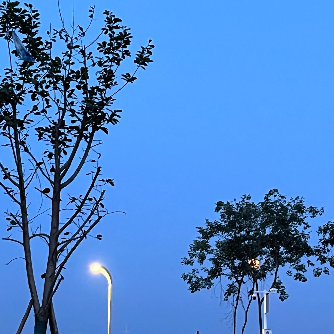 圆月