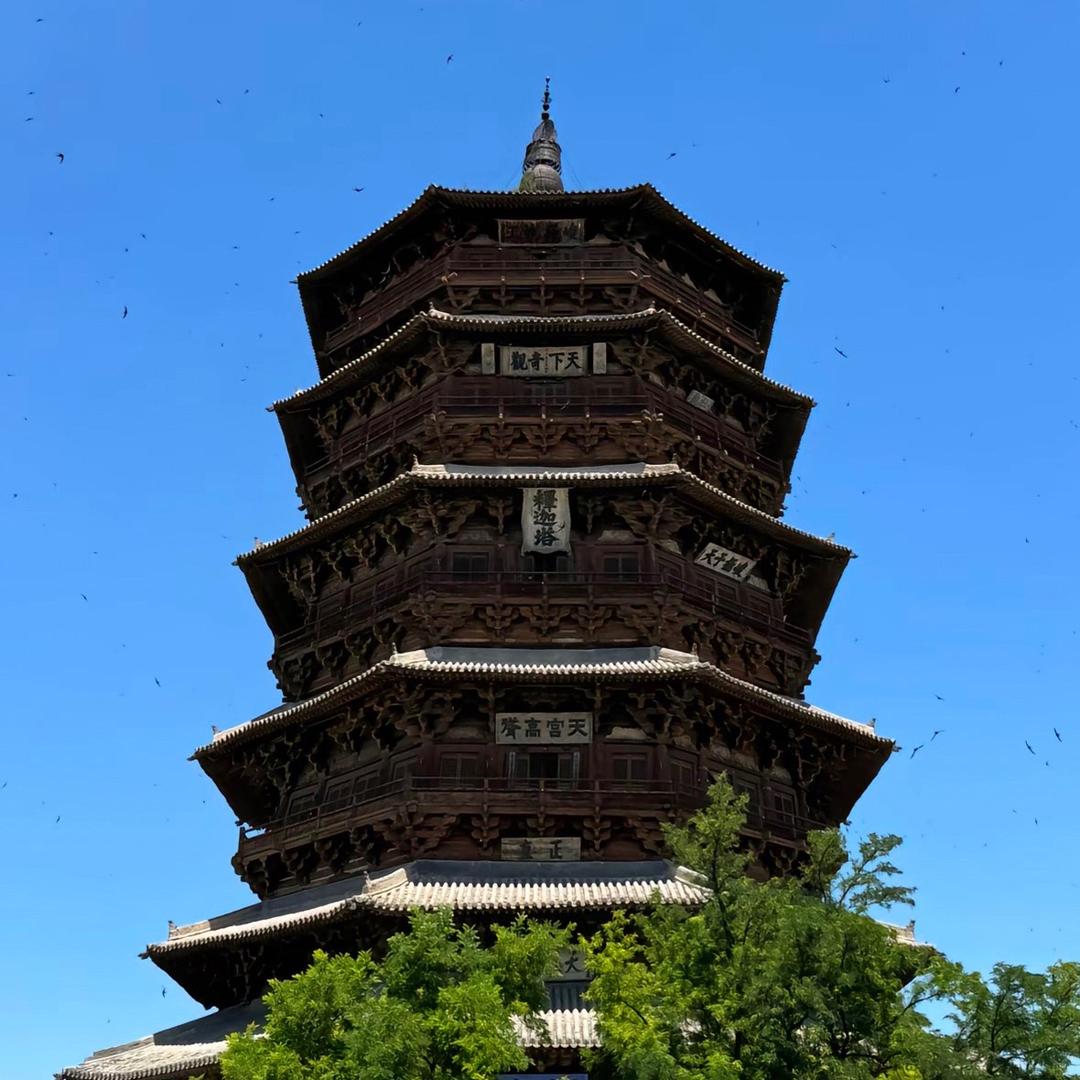 小张涨知识