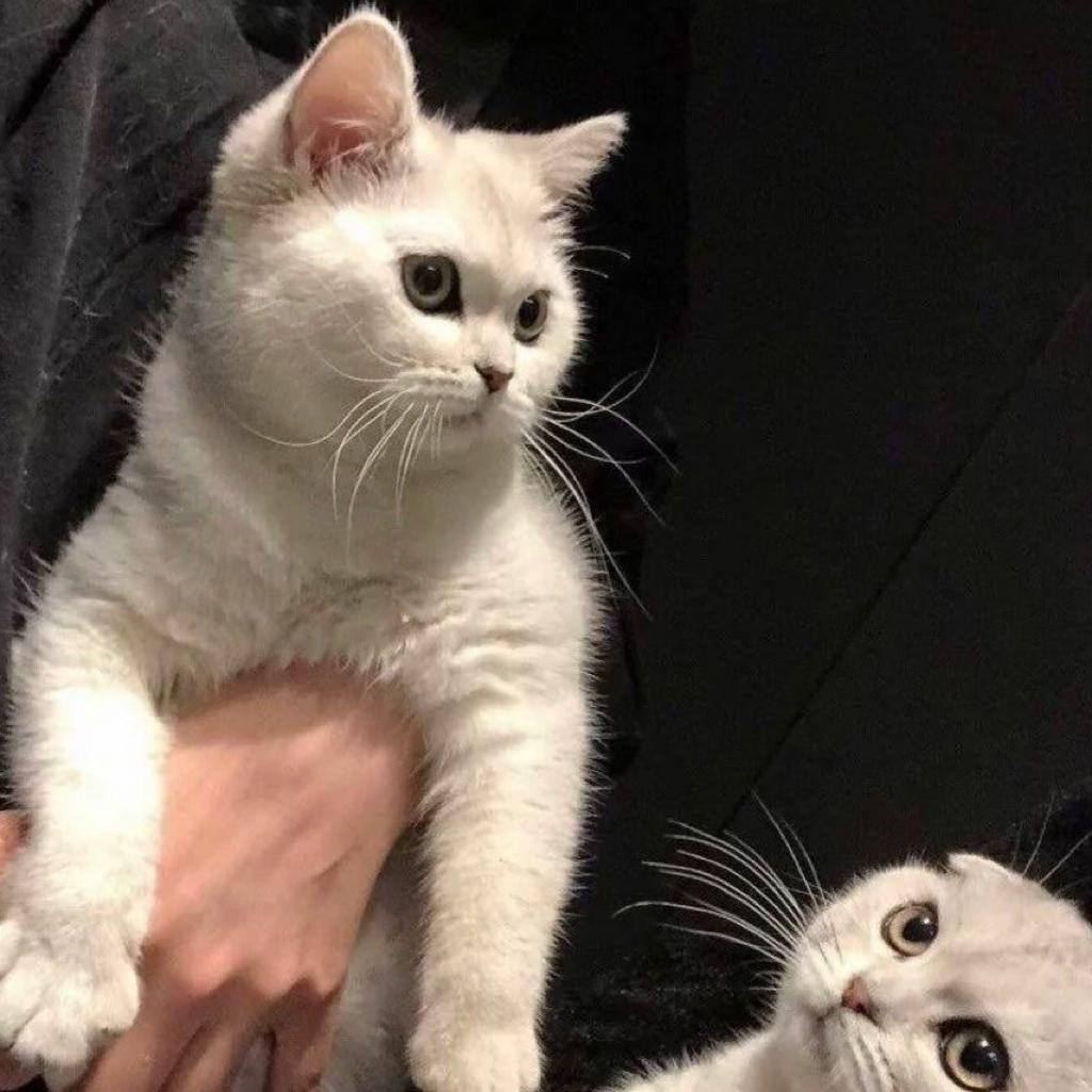 第五排的第六个同学