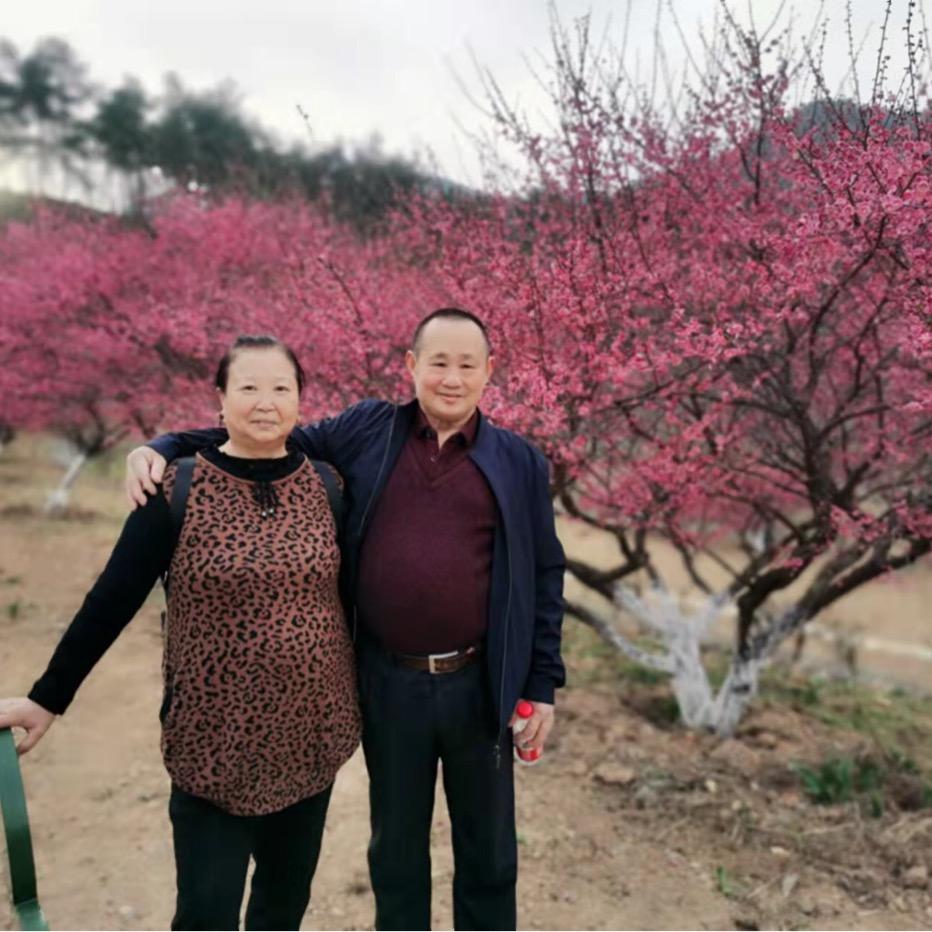 杨门女将.