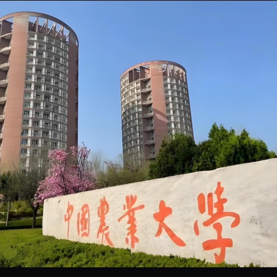 农博士超仔