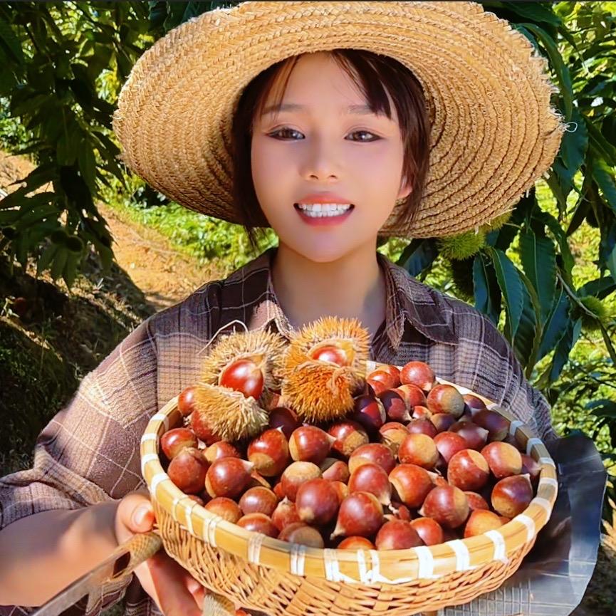 洋滚滚（建瓯锥栗）