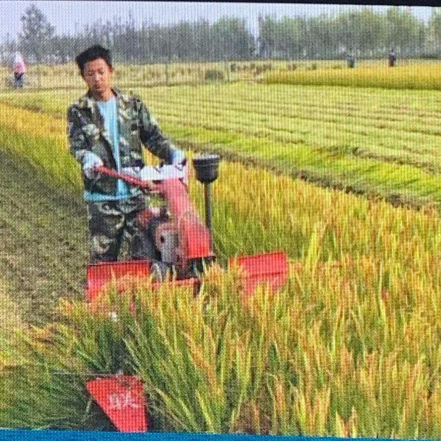 上官文灿文具经营部