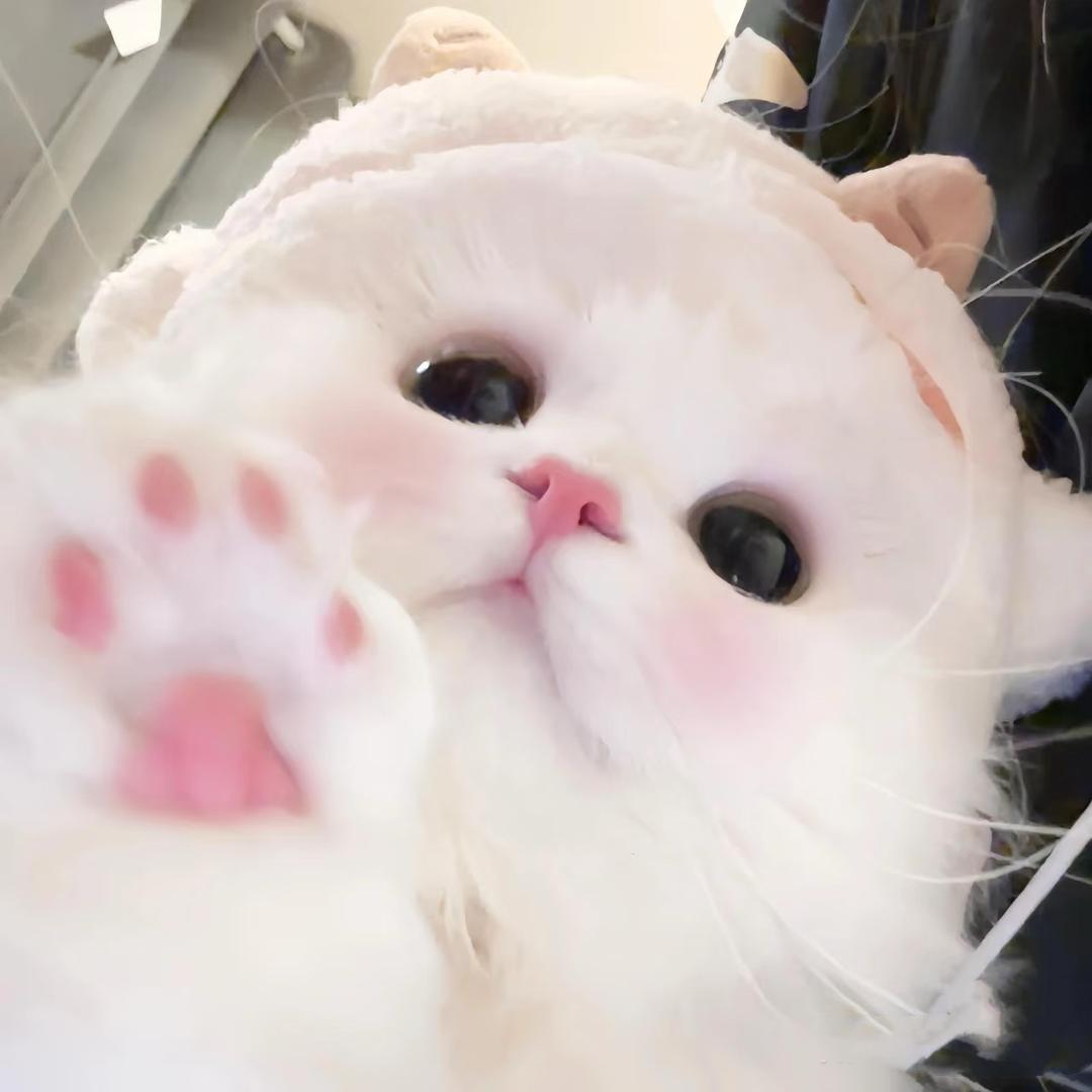 好啵拉拉
