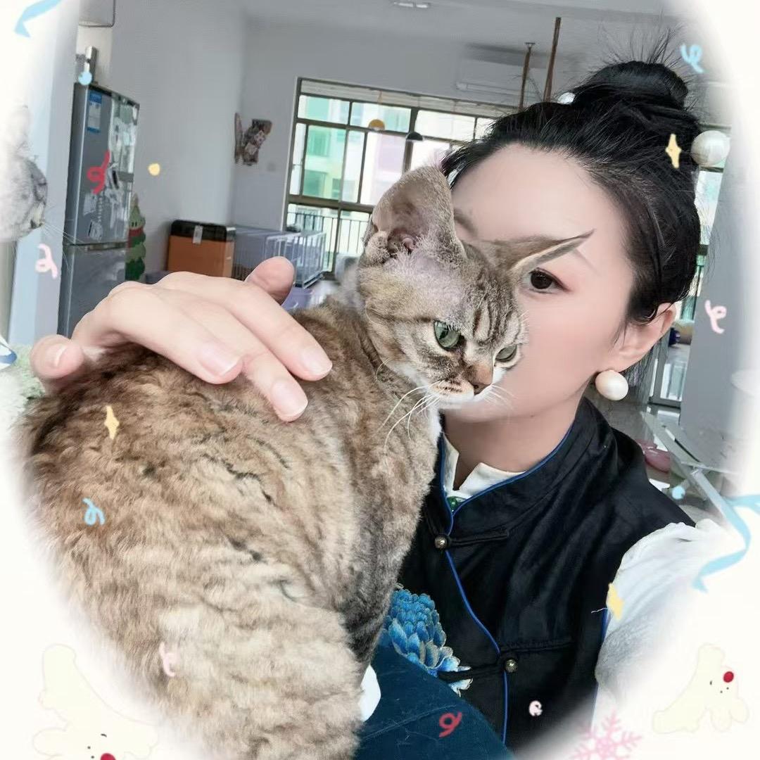 卷卷毛@可爱显眼包