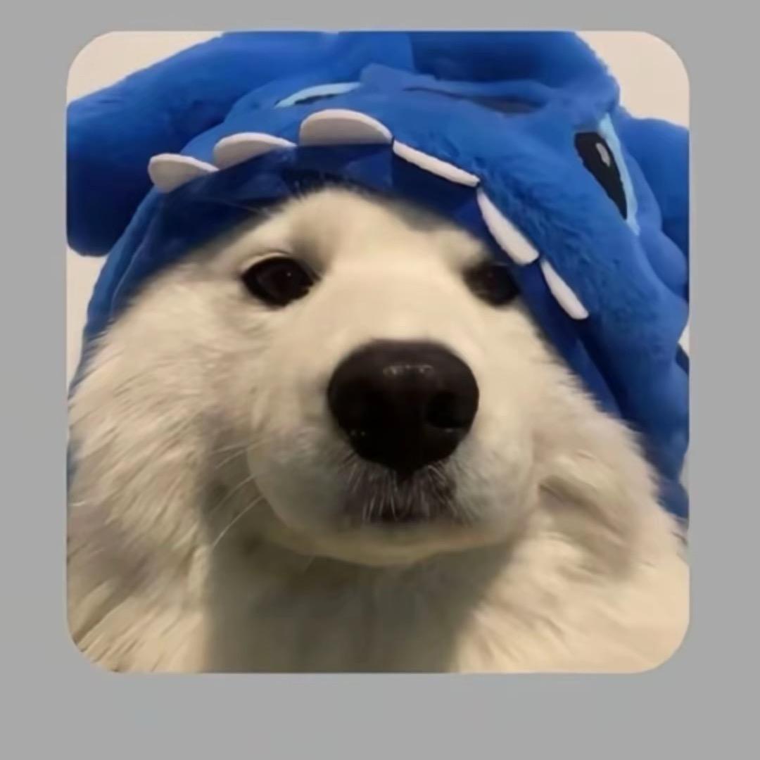 愤怒的萝卜