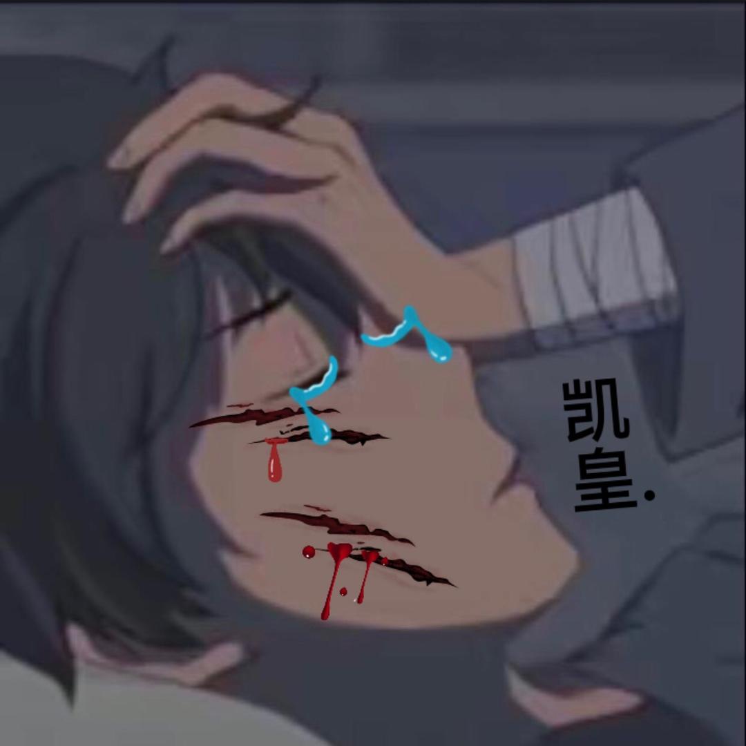 凯爷小学生（国一铠）