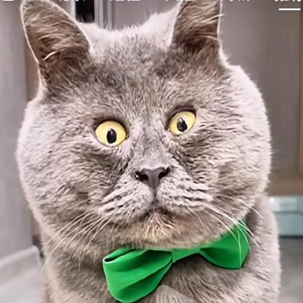 马猴哥