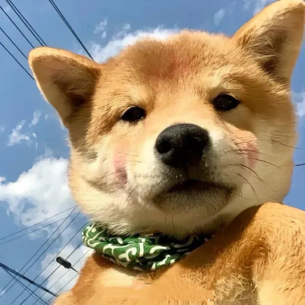 脑袋开西瓜