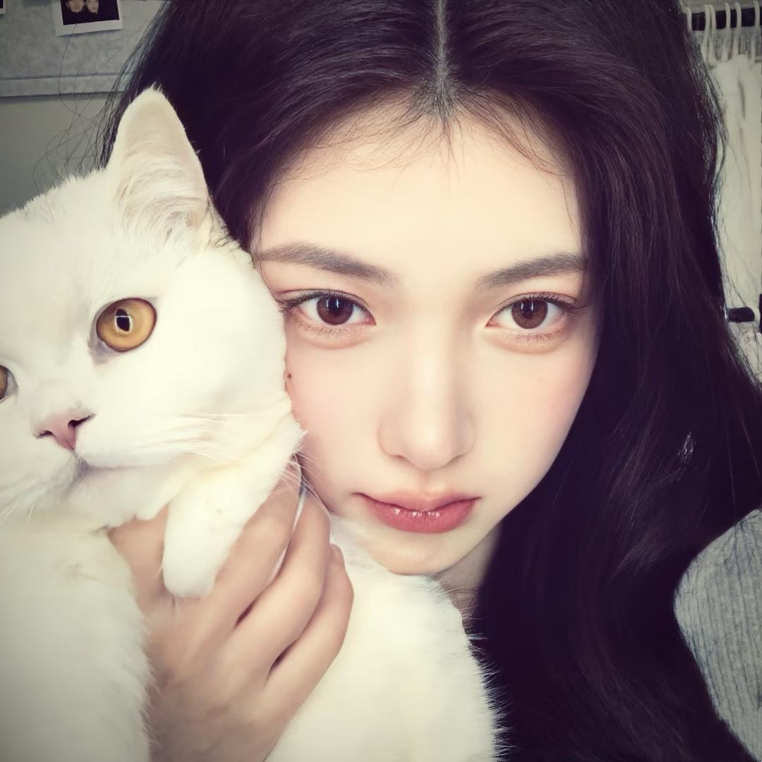 可爱猫🐟
