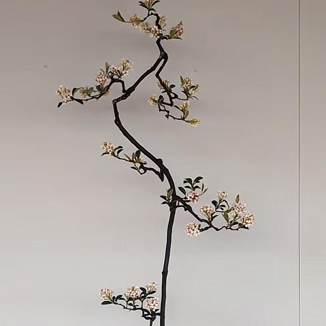 晖烊生活精品店