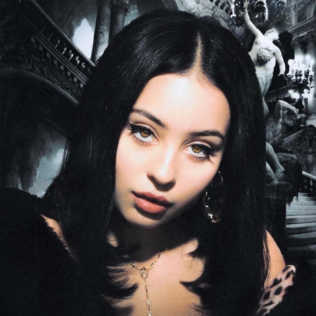 墨鱼sally（intp版）🦔