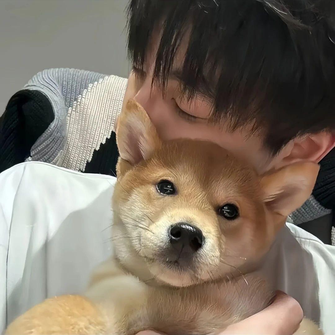 十二（lolm）