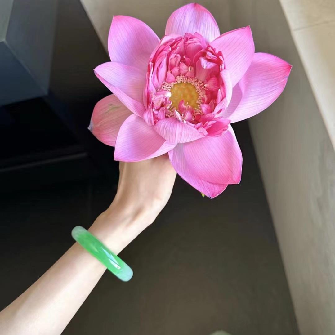 疯狂的石头