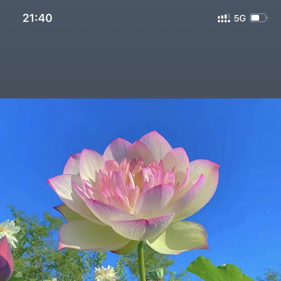 S欣婷