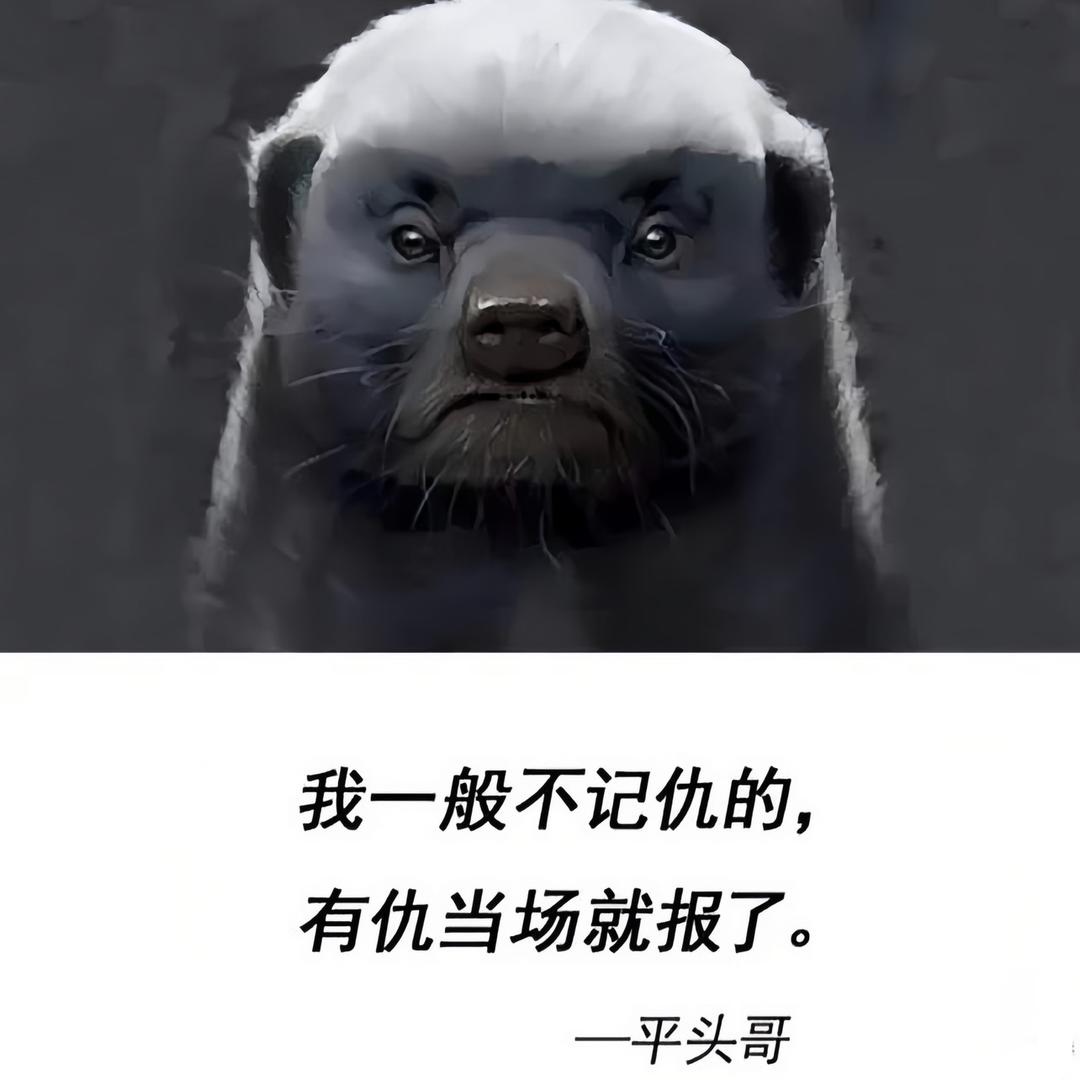 张雪