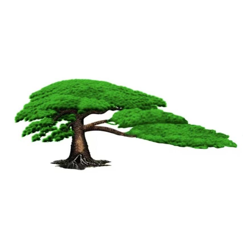 鑫星鞋业源头工厂