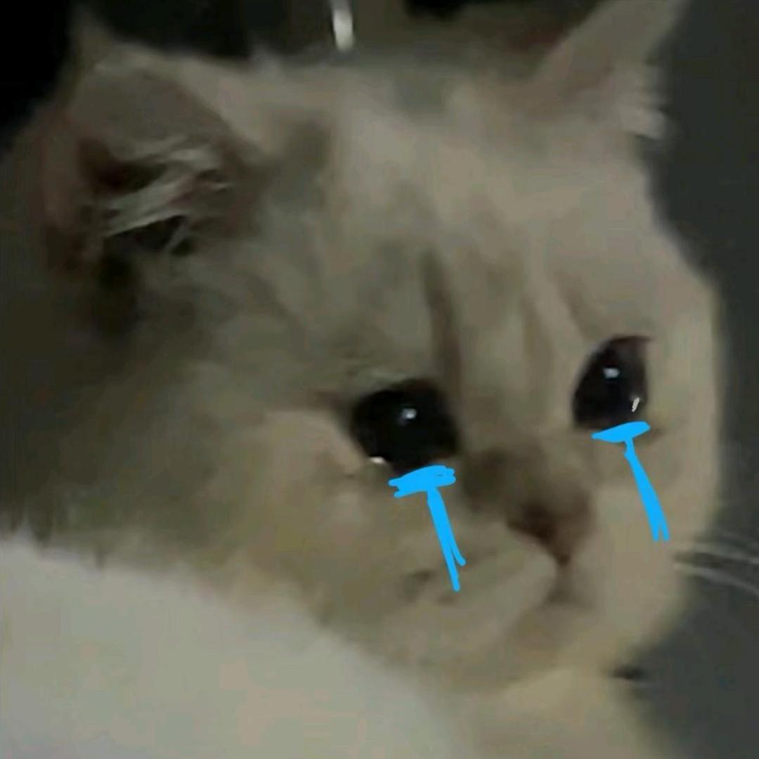 羊‍‍