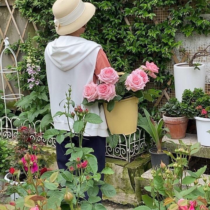 转角遇到花🌹