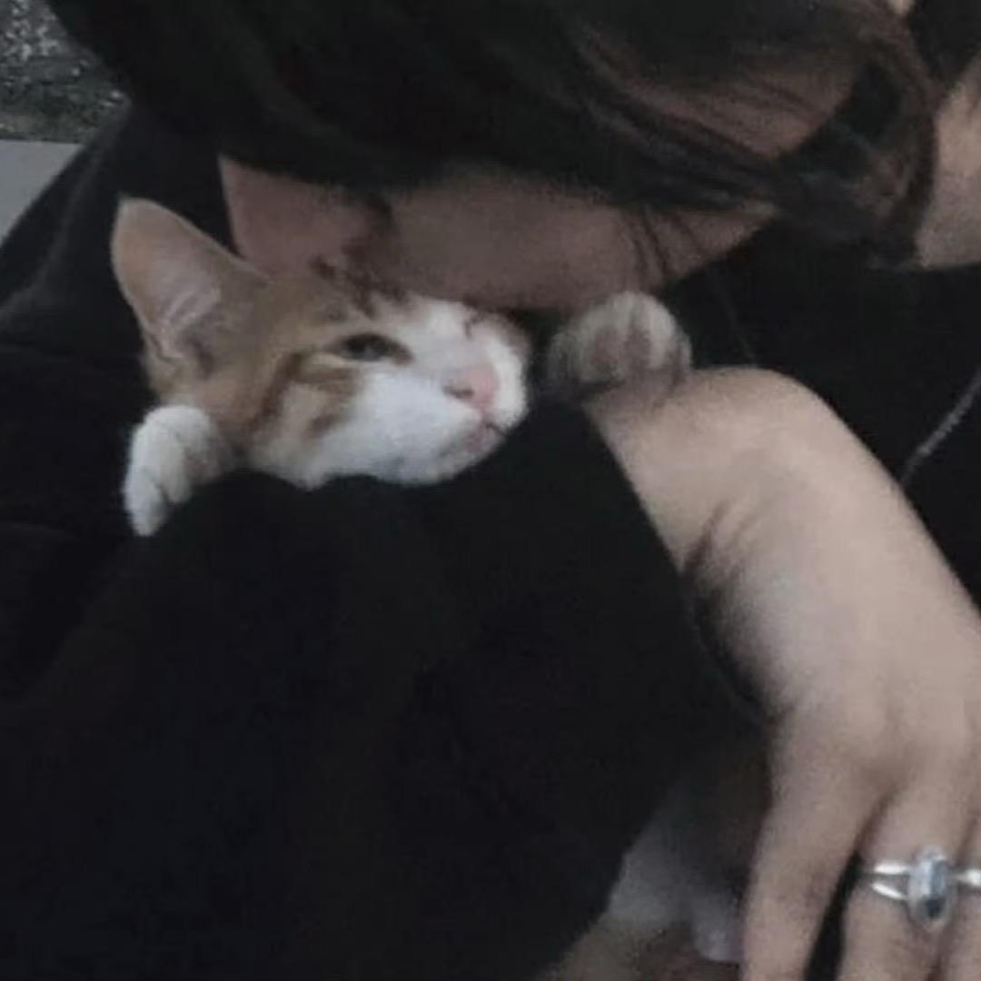 起名字咋这么难