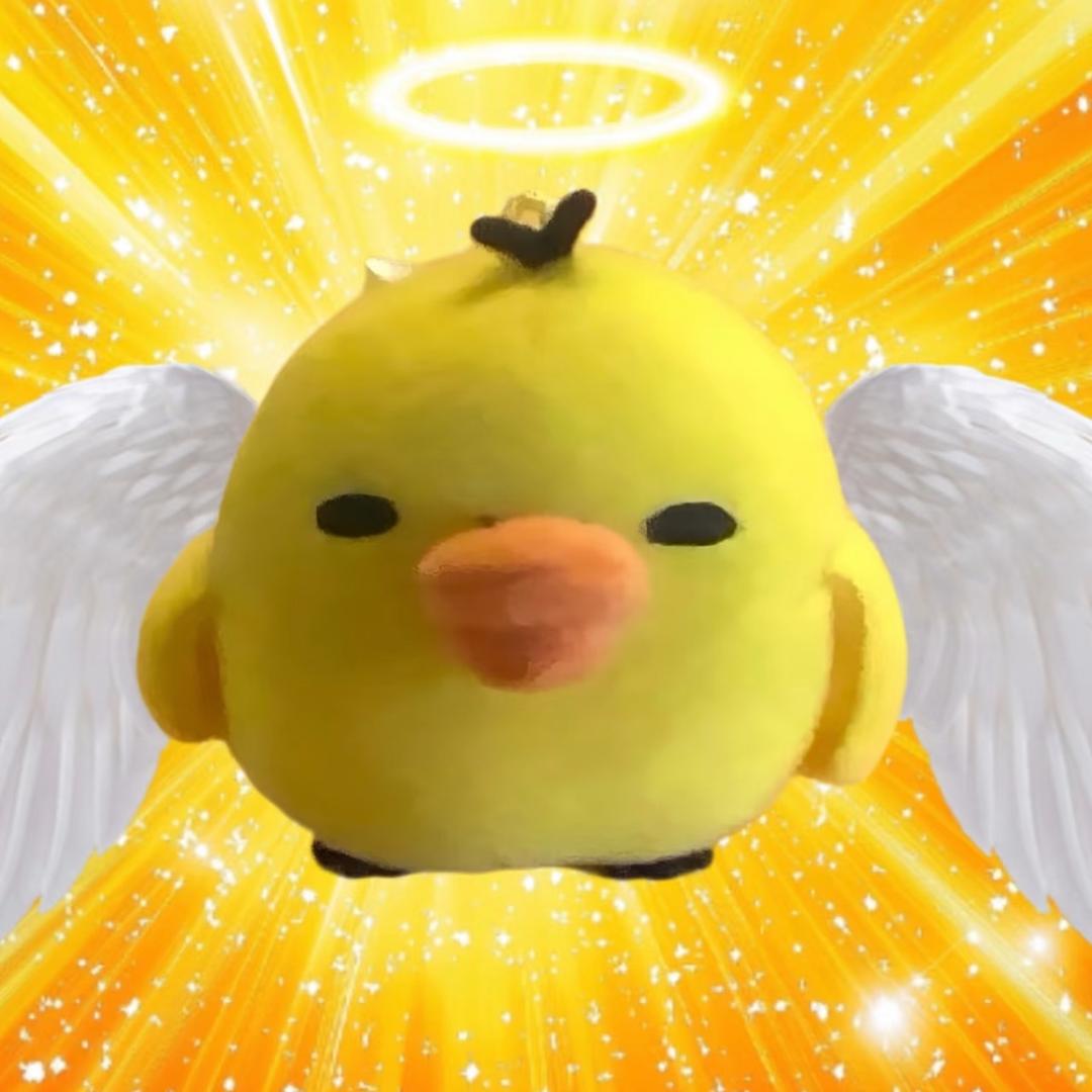 鱼仔y