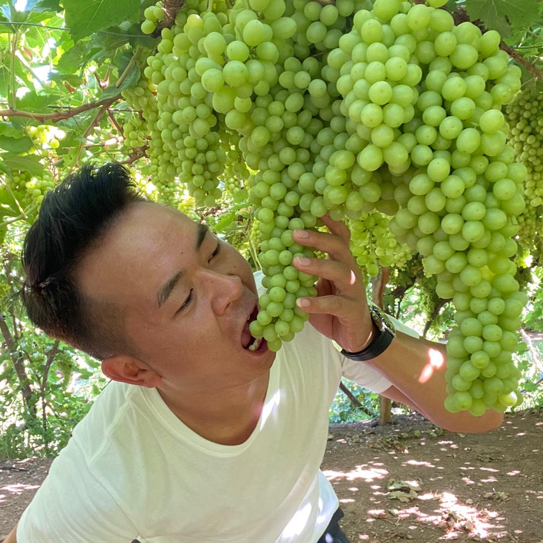 檳檳_干果商行