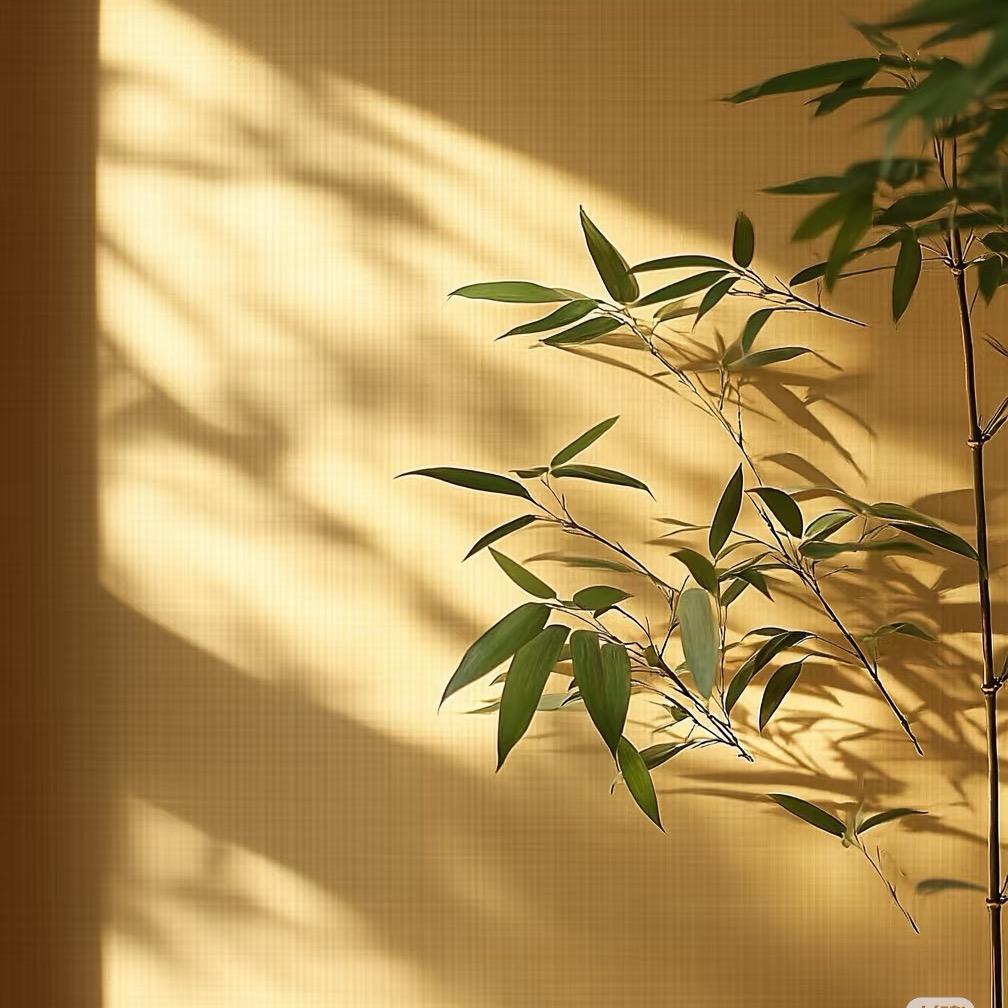 四时予幸1