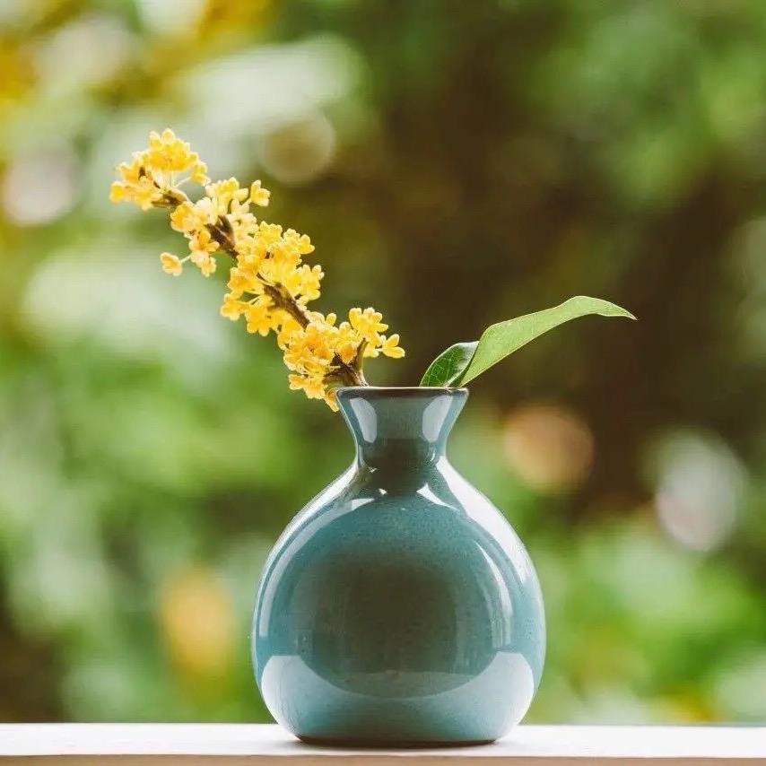 🌻🌷开心就好🌷🌻