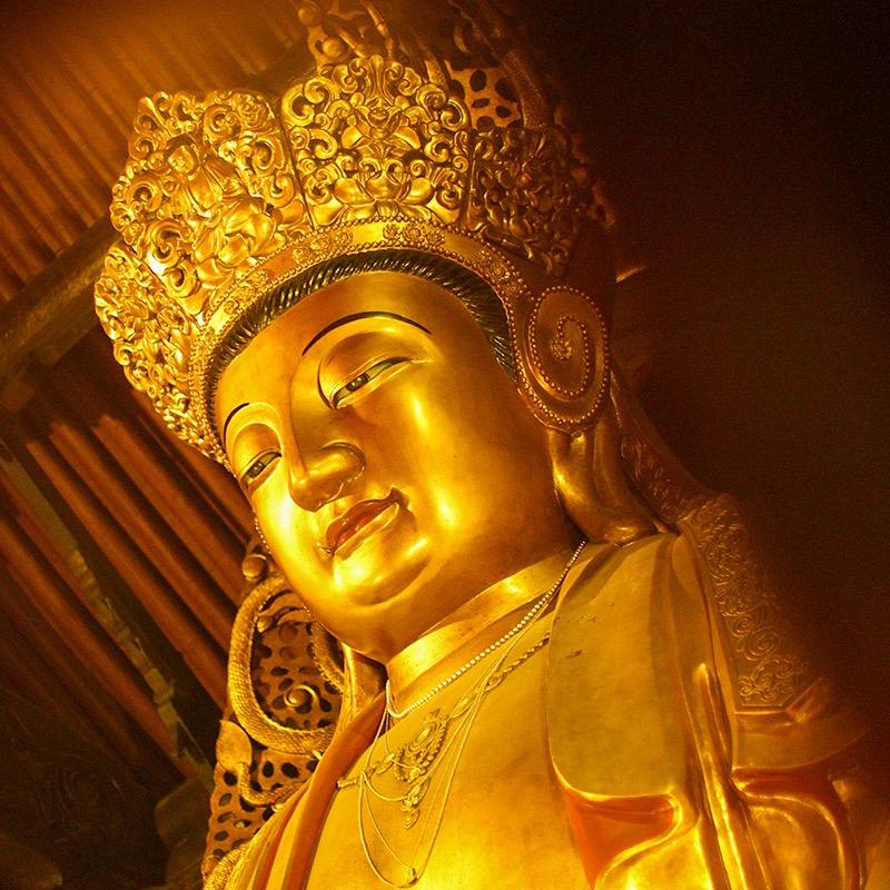 慈悲法物流通处