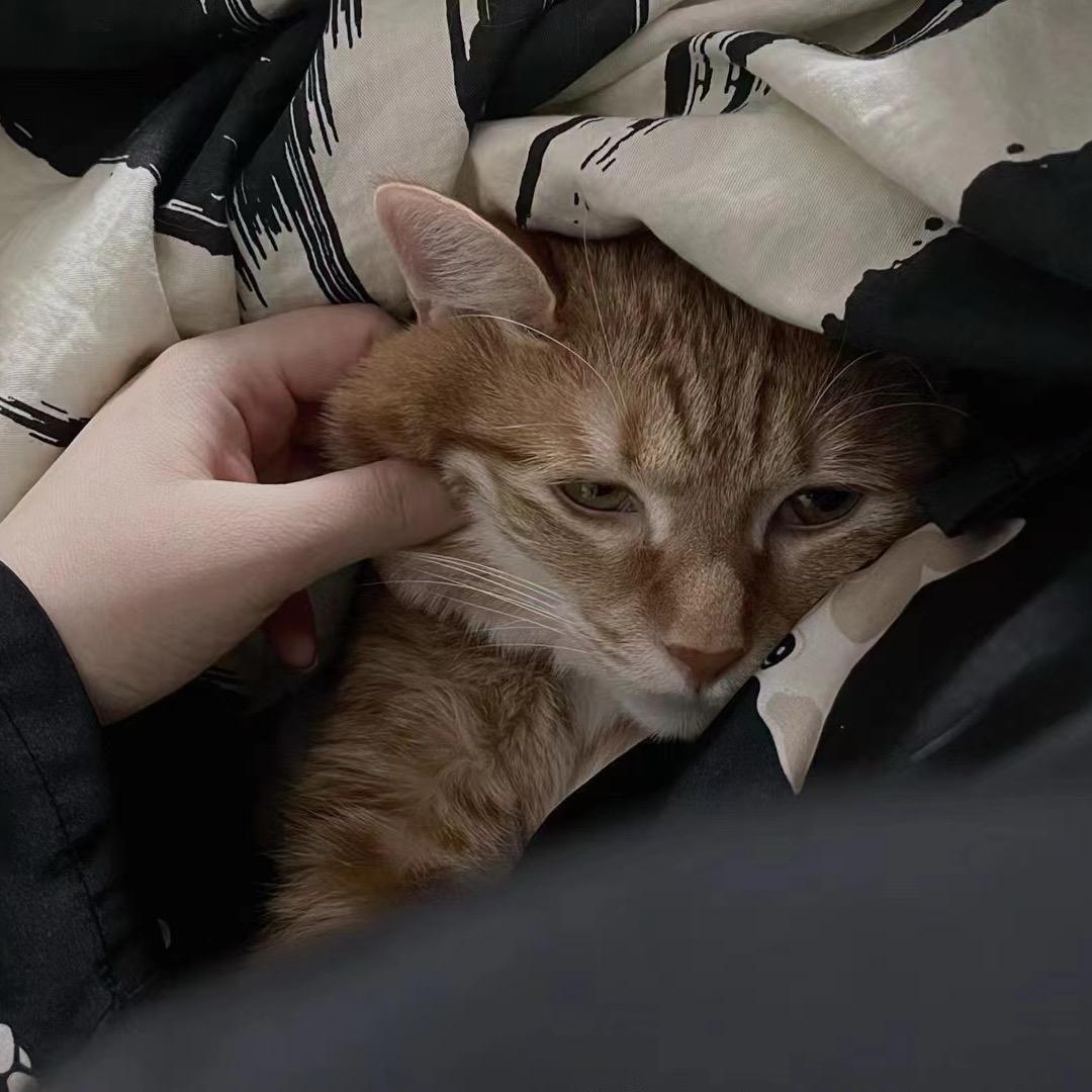 奶黄包可好吃了ᶜ