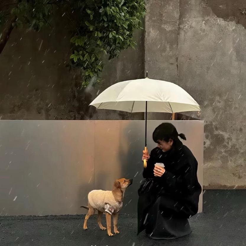 琪琪很乖❤️