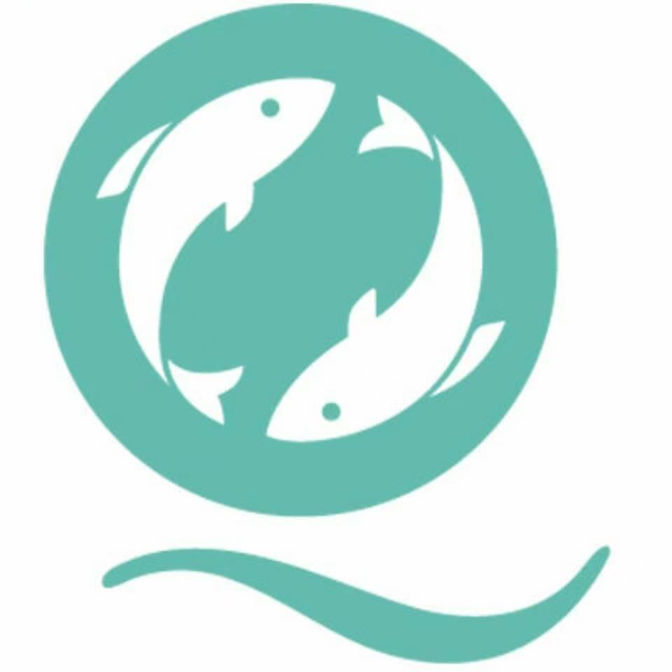 青花鱼（招募中