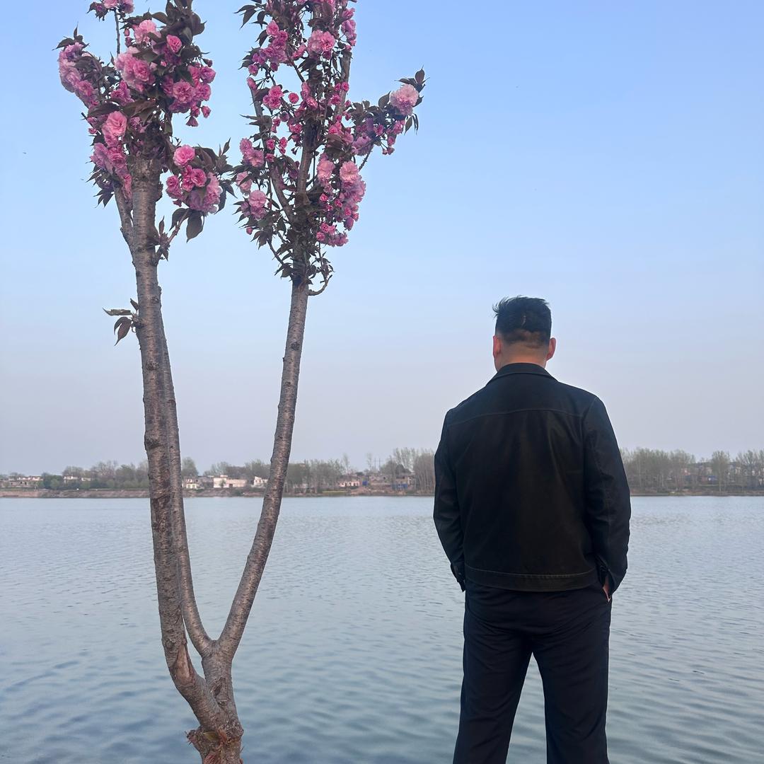 时人不识凌云木。