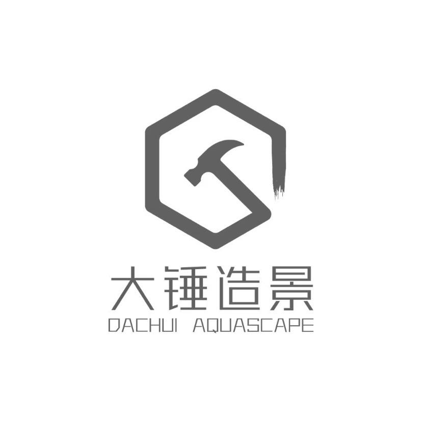 大锤带你玩造景