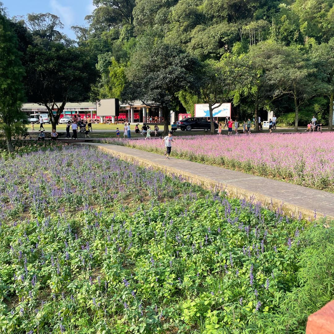 广州市齐翼航电子有限公司