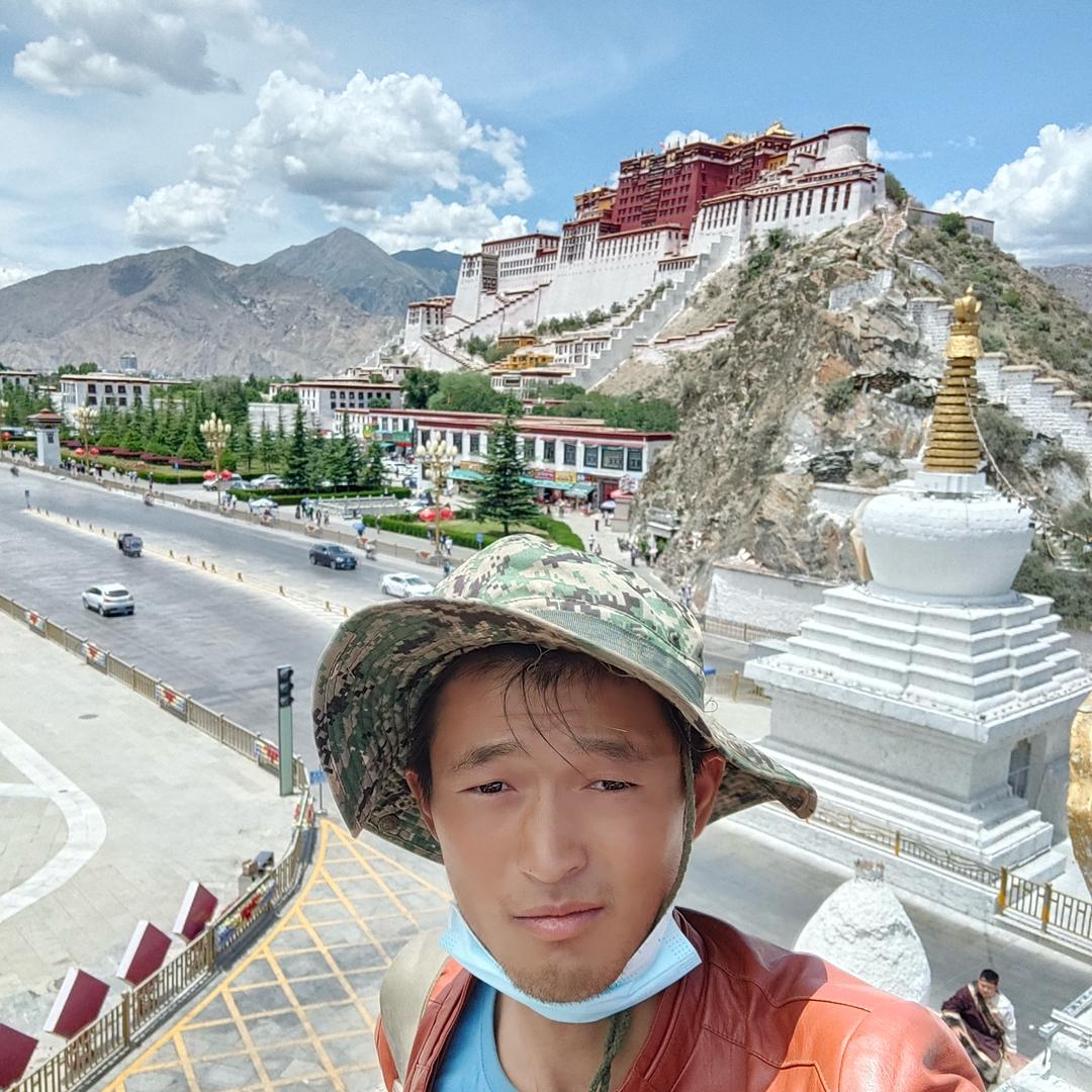 我叫流浪狗