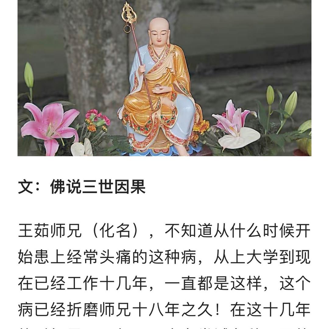夏花绚烂