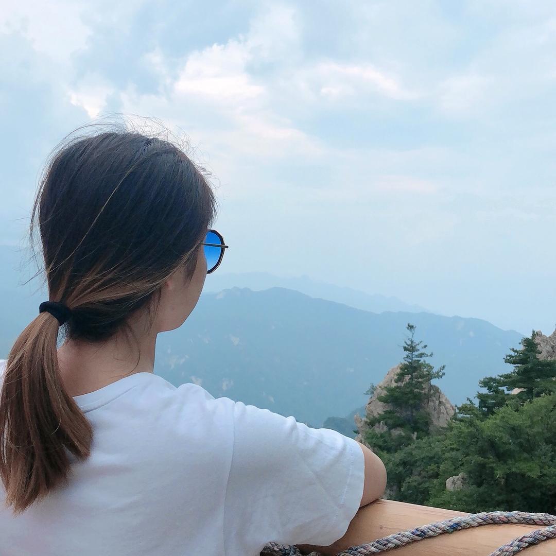 小马过河