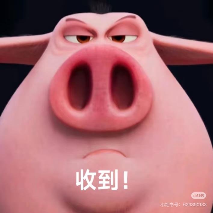 石圪节公社时尚球头爱好者-犟嘴卓玛