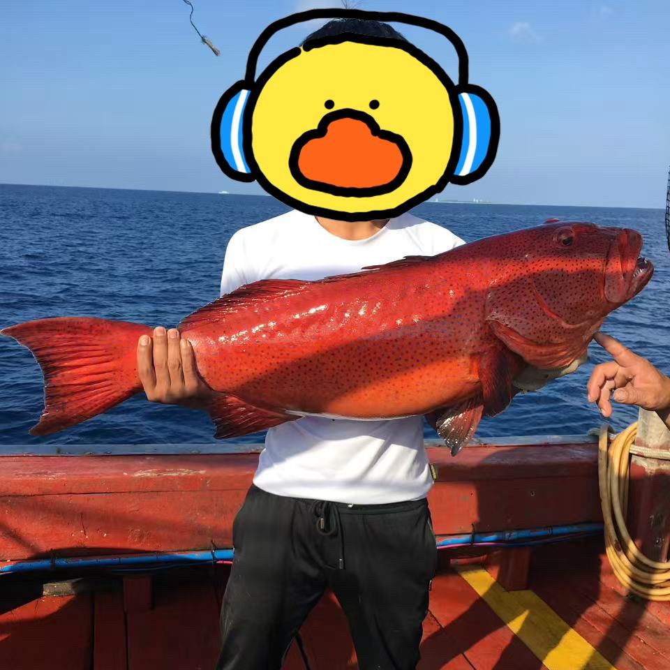 海钓-阿霖