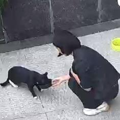 秋