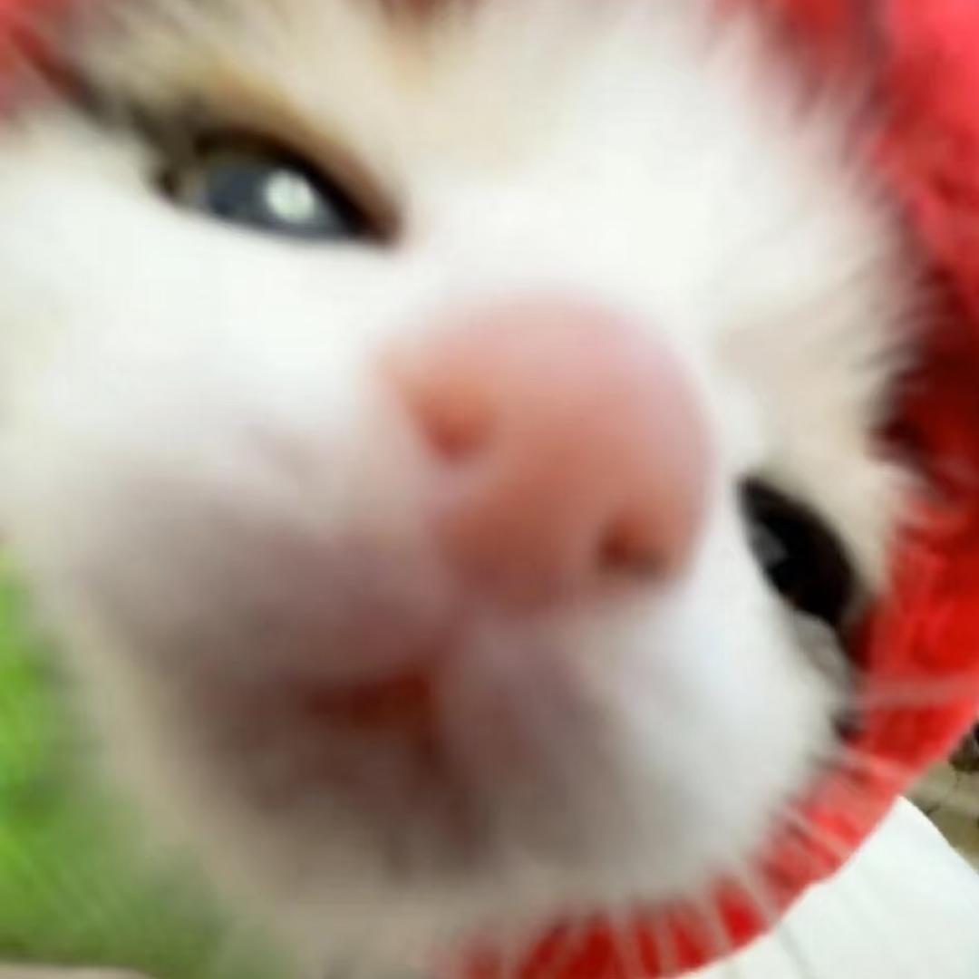 小雯