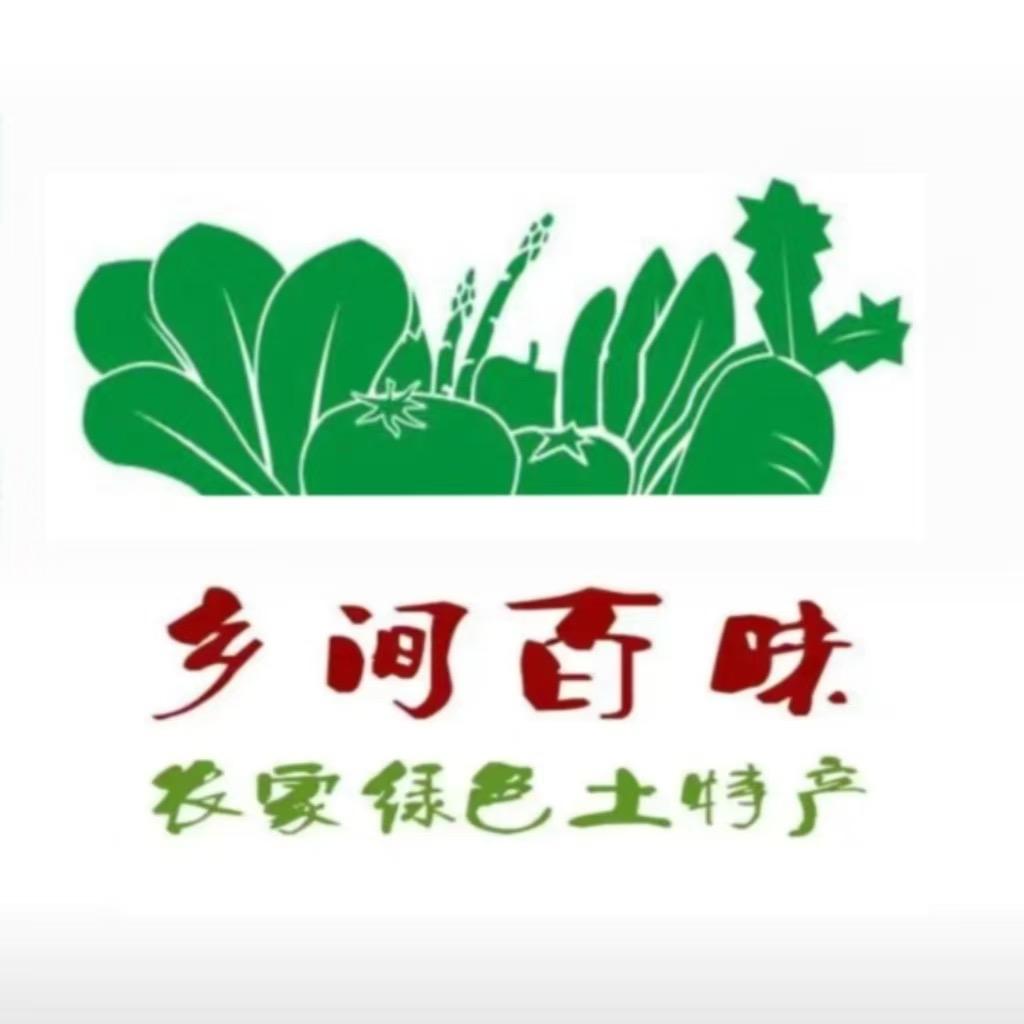农村根据地