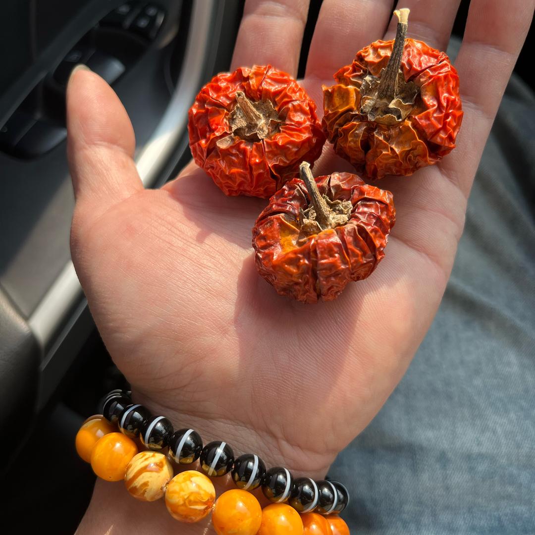 冲吧🎱俱乐部  石头