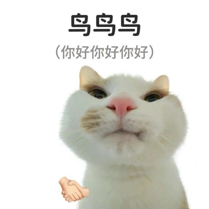 曲尼·玛德