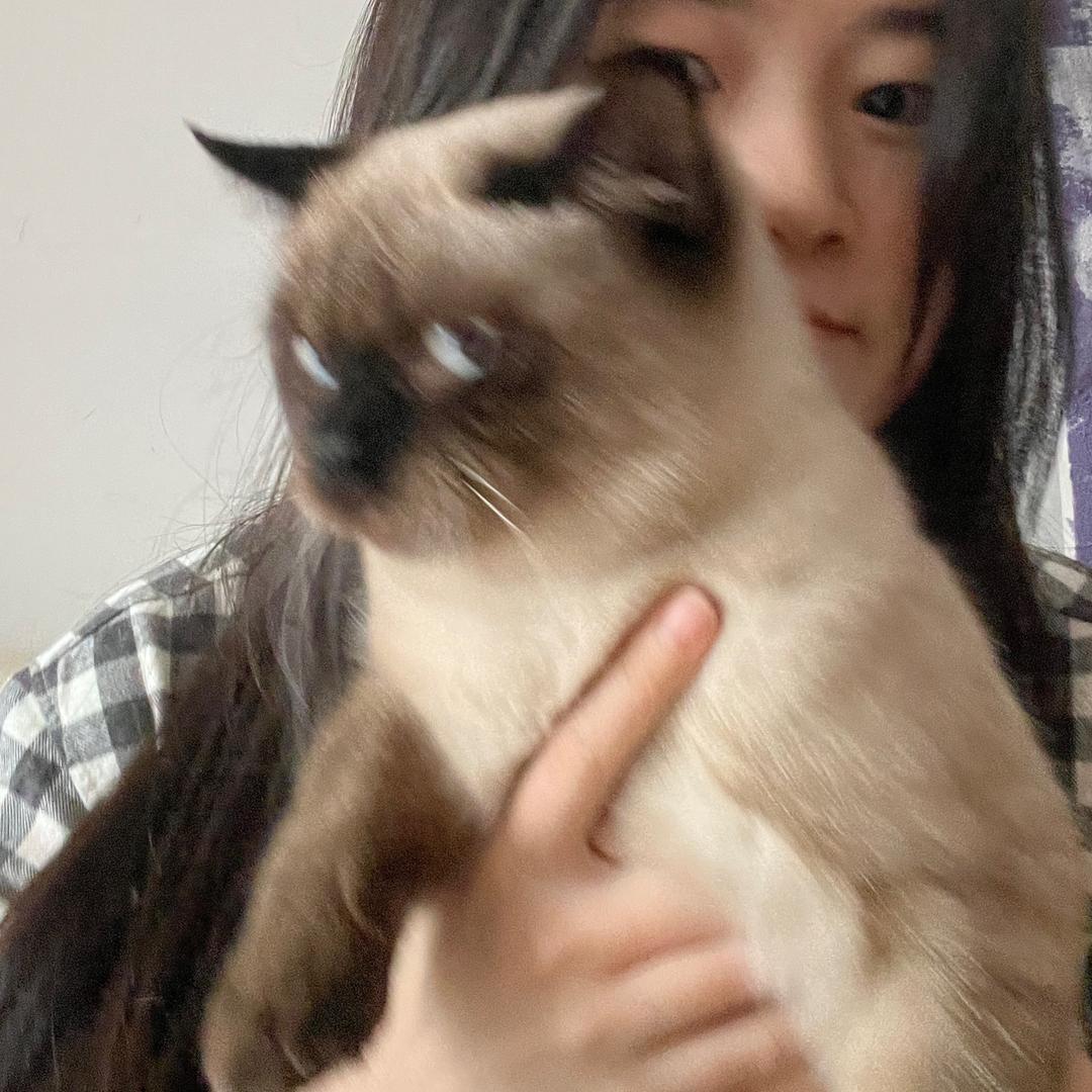 天线宝子（减肥版）